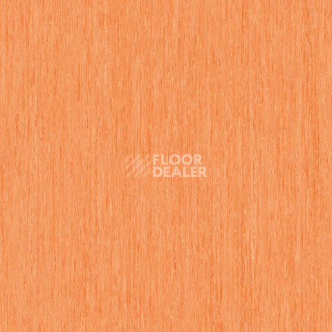 Линолеум Tarkett iq Optima Orange 0257 фото 1 | FLOORDEALER